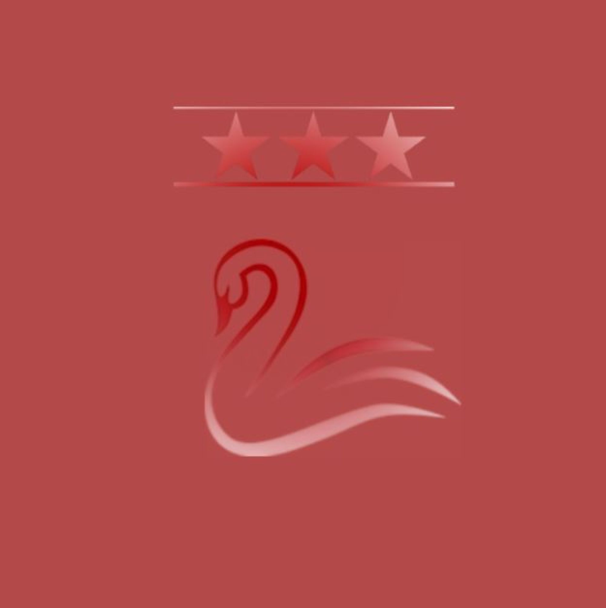 Logo Schwanen Hainstadt